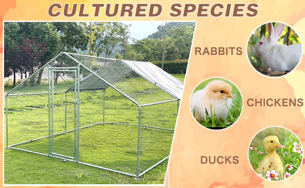 Large Metal Chicken Coop Walk-in Poultry Cage Large Metal Chicken Coop Walk-in Poultry Cage