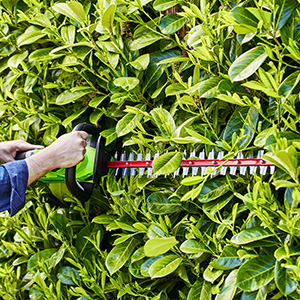Greenworks G40HT61K2 Cordless Hedge Trimmer,61cm Dual Action Blades,Cuts up to 27mm Thick Branches and Stems,3000spm,40V 2Ah Battery & Charger,3 Year Guarantee