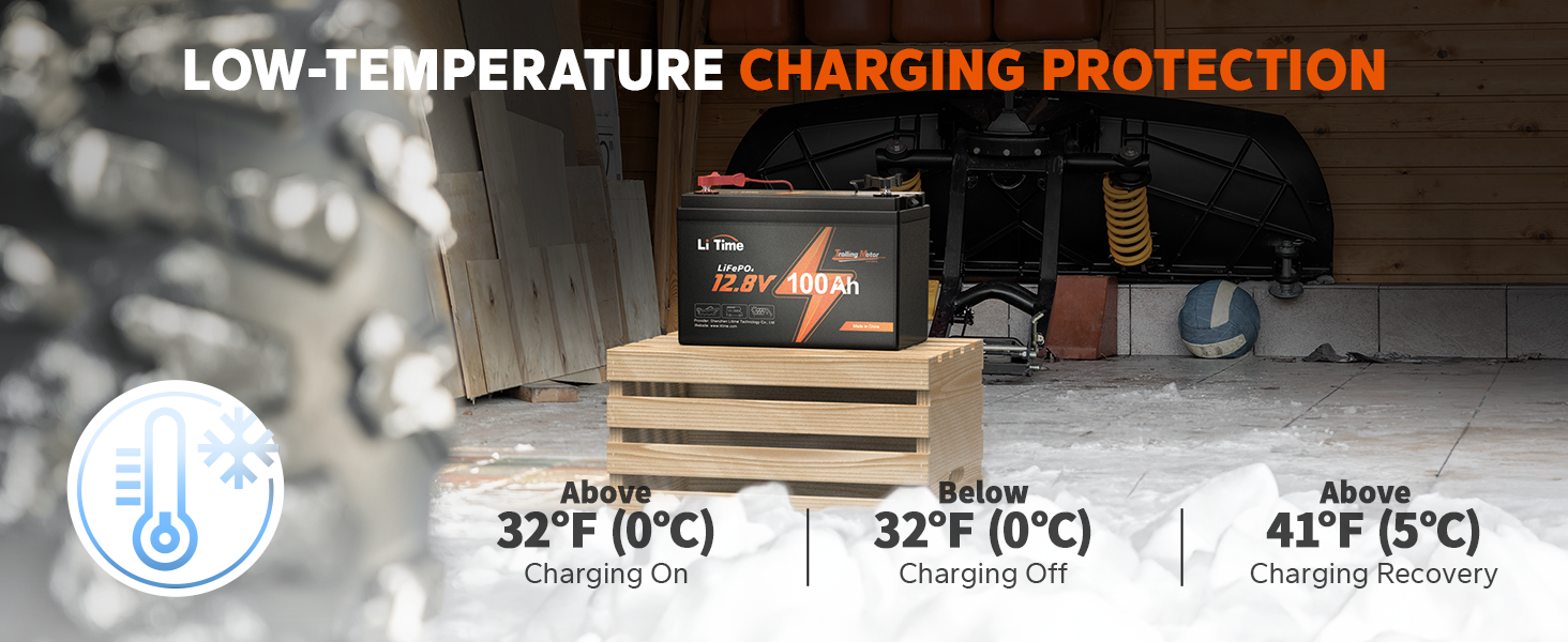 LiTime 12V 100Ah TM LiFePO4 Lithium Battery Built in 100A BMS