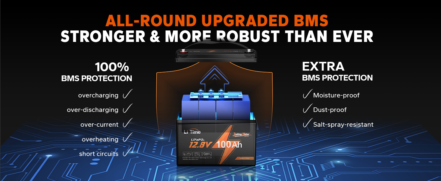 LiTime 12V 100Ah TM LiFePO4 Lithium Battery Built in 100A BMS