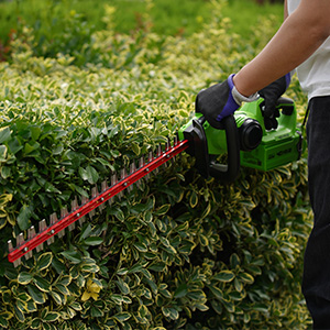 Greenworks G40HT61K2 Cordless Hedge Trimmer,61cm Dual Action Blades,Cuts up to 27mm Thick Branches and Stems,3000spm,40V 2Ah Battery & Charger,3 Year Guarantee