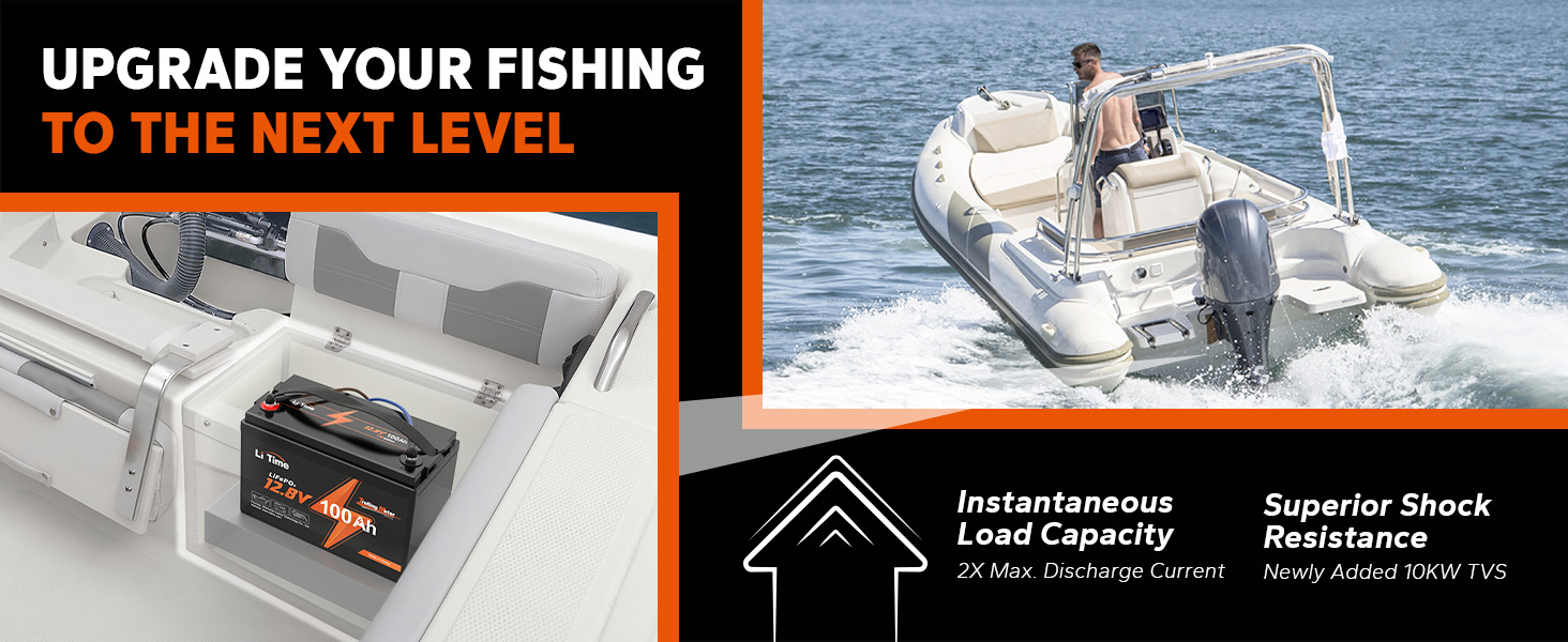 LiTime 12V 100Ah TM LiFePO4 Lithium Battery Built in 100A BMS