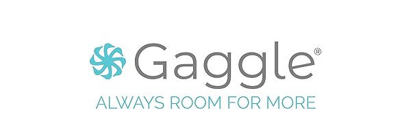 Gaggle by Foundations Compass Quad 4 Seat Stroller | 4-Seat Stroller for Daycare | Oversized UV Blocking Canopy | 5-Point Harness | Easy Loading | Storage Bucket | Teal