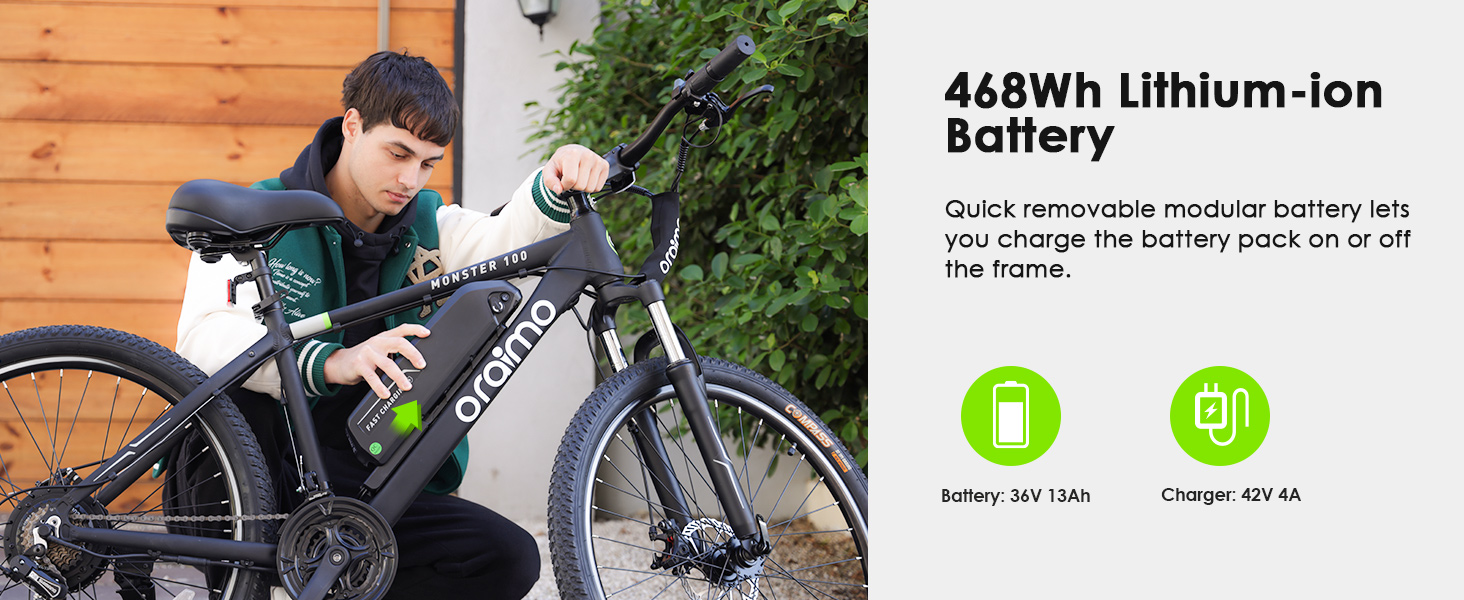 Oraimo Electric Bike for Adults with 350W BAFANG Motor