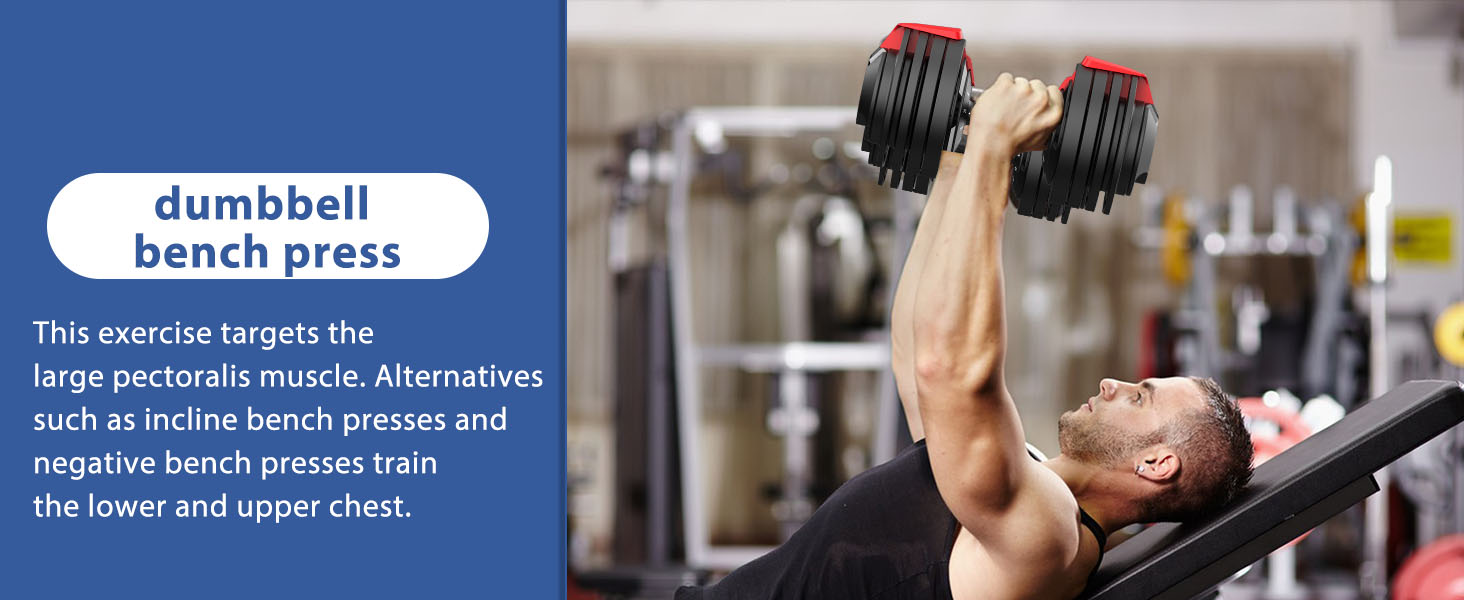 DH FitLife 24 kg Adjustable Dumbbells from 3 to 24 kg with 12 Weight Levels,Short Dumbbell Set with Weight Discs,Adjustable Short Dumbbells,Variable Weights 12 in 1 DH FitLife 24 kg Adjustable Dumbbells from 3 to 24 kg with 12 Weight Levels,Short Dumbbell Set with Weight Discs,Adjustable Short Dumbbells,Variable Weights 12 in 1